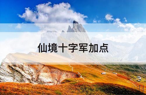 仙境十字军加点