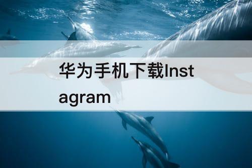 华为手机下载Instagram