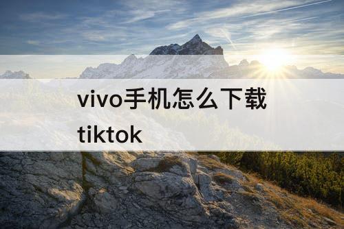 vivo手机怎么下载tiktok