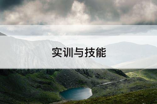 实训与技能