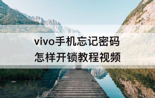 vivo手机忘记密码怎样开锁教程视频