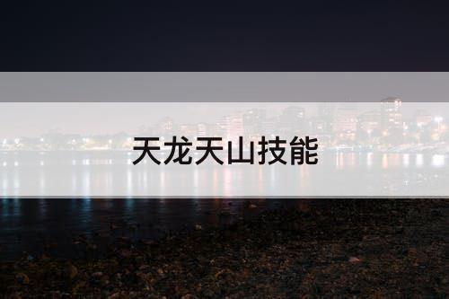 天龙天山技能