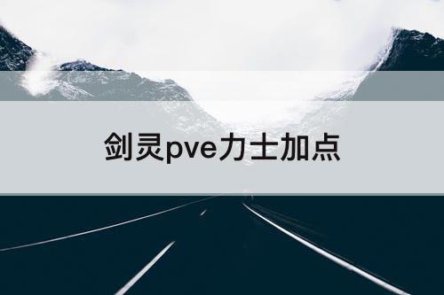 剑灵pve力士加点