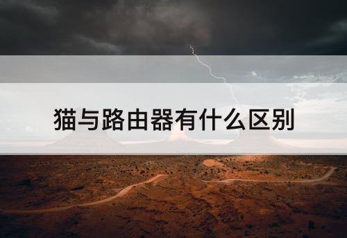 猫与路由器有什么区别