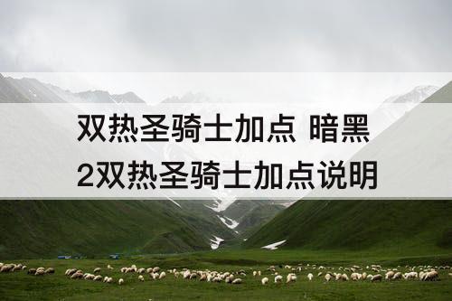 双热圣骑士加点 暗黑2双热圣骑士加点说明