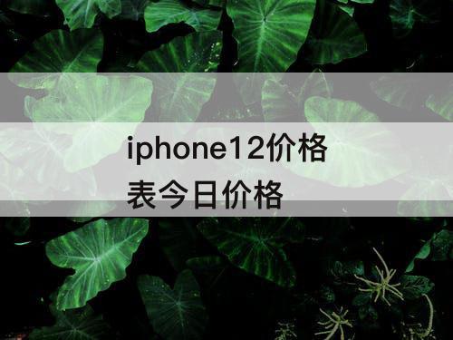 iphone12价格表今日价格