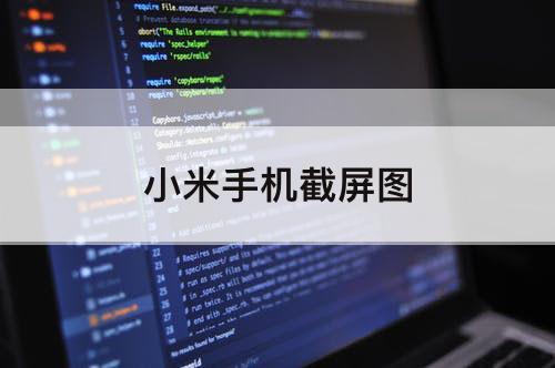 小米手机截屏图