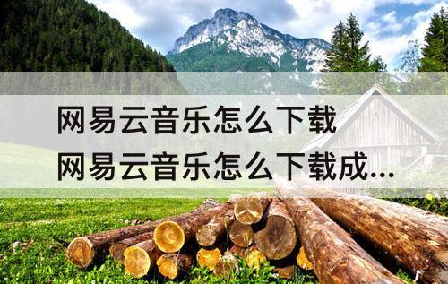 网易云音乐怎么下载 网易云音乐怎么下载成mp3文件