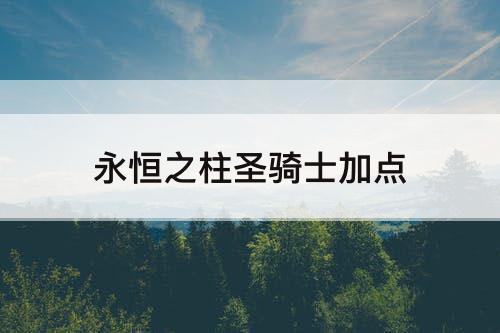 永恒之柱圣骑士加点