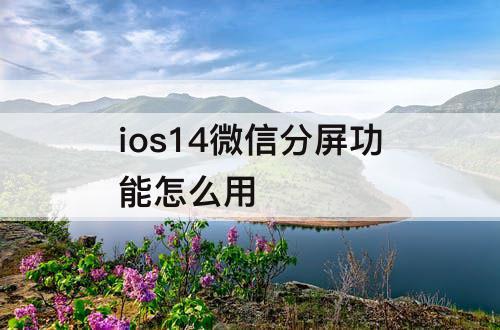 ios14微信分屏功能怎么用