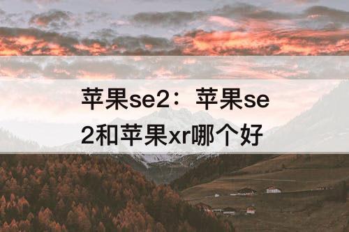 苹果se2：苹果se2和苹果xr哪个好