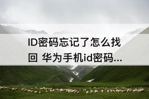 ID密码忘记了怎么找回 华为手机id密码忘记了怎么找回来