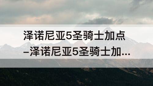 泽诺尼亚5圣骑士加点-泽诺尼亚5圣骑士加点图
