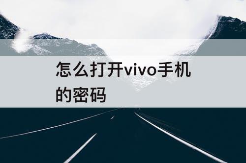 怎么打开vivo手机的密码