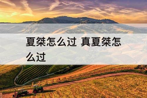 夏桀怎么过 真夏桀怎么过