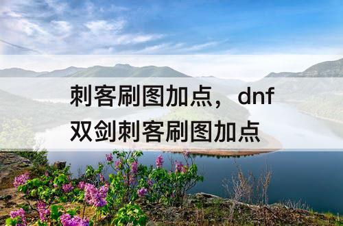 刺客刷图加点，dnf双剑刺客刷图加点