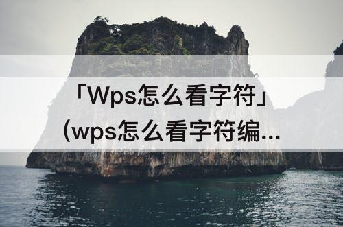 「Wps怎么看字符」(wps怎么看字符编码)