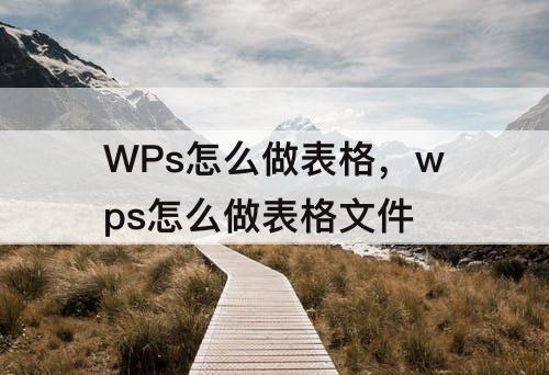WPs怎么做表格，wps怎么做表格文件