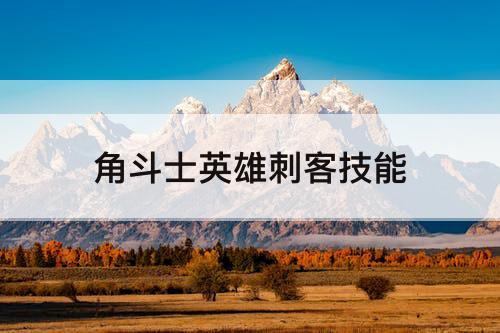角斗士英雄刺客技能