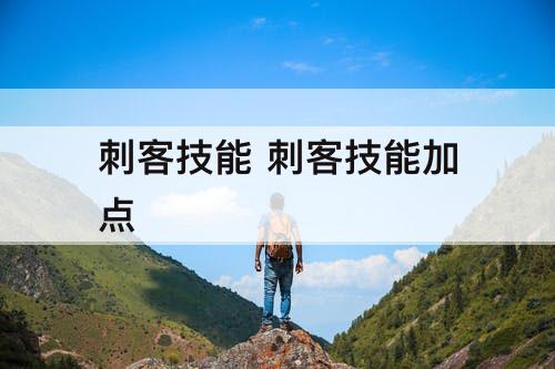 刺客技能 刺客技能加点