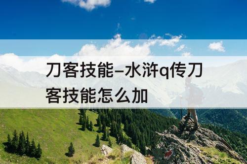 刀客技能-水浒q传刀客技能怎么加