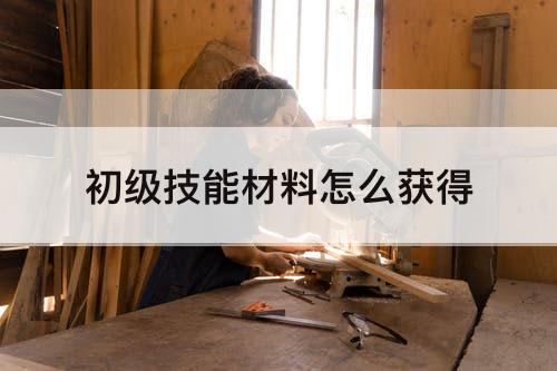 初级技能材料怎么获得