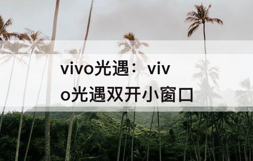 vivo光遇：vivo光遇双开小窗口