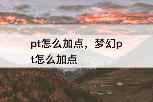 pt怎么加点，梦幻pt怎么加点