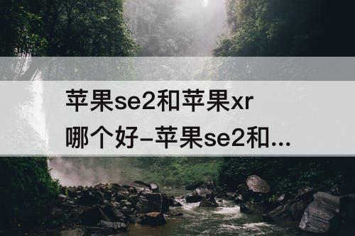 苹果se2和苹果xr哪个好-苹果se2和苹果xr哪个好用
