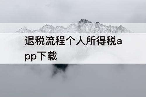 退税流程个人所得税app下载