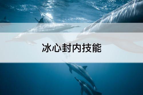冰心封内技能