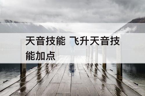 天音技能 飞升天音技能加点