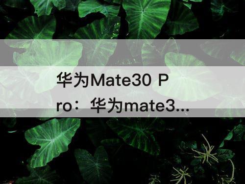华为Mate30 Pro：华为mate30 pro和华为mate40pro的参数