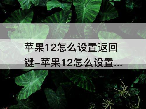 苹果12怎么设置返回键-苹果12怎么设置返回键和切换键