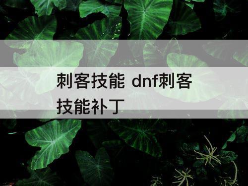 刺客技能 dnf刺客技能补丁
