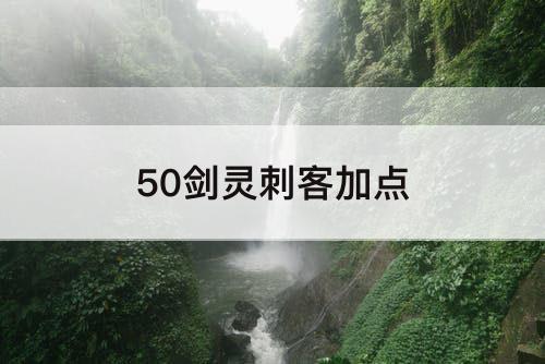50剑灵刺客加点