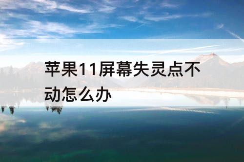 苹果11屏幕失灵点不动怎么办