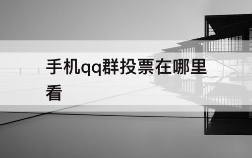 手机qq群投票在哪里看