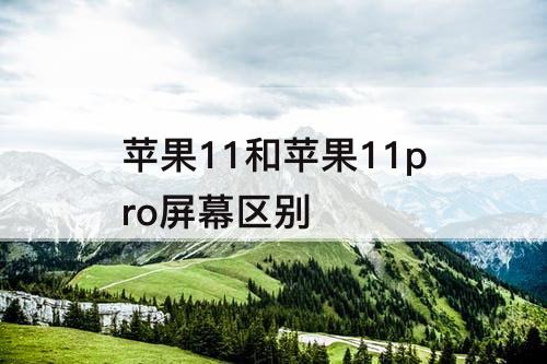 苹果11和苹果11pro屏幕区别