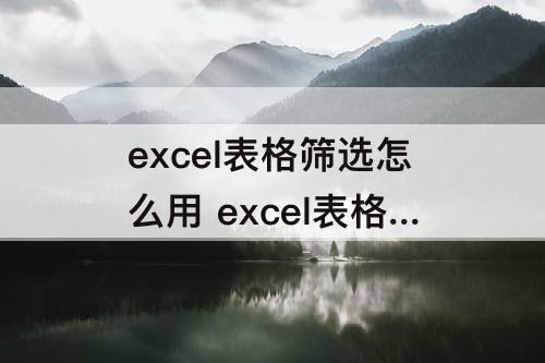 excel表格筛选怎么用 excel表格筛选怎么用数据