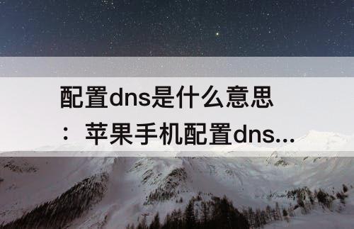 配置dns是什么意思：苹果手机配置dns是什么意思