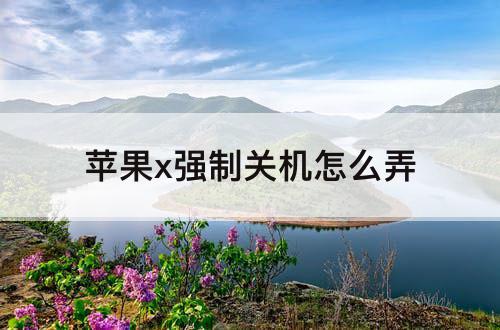 苹果x强制关机怎么弄