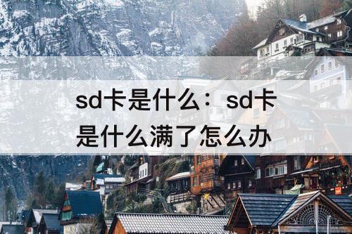 sd卡是什么：sd卡是什么满了怎么办