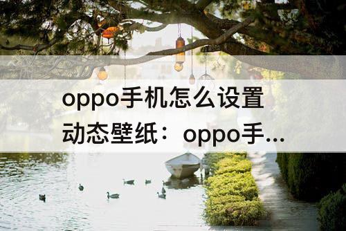 oppo手机怎么设置动态壁纸：oppo手机怎么设置动态壁纸到主屏幕