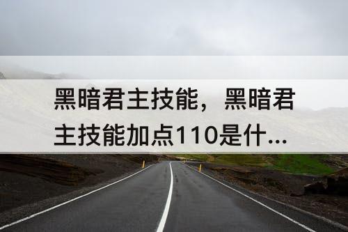 黑暗君主技能，黑暗君主技能加点110是什么