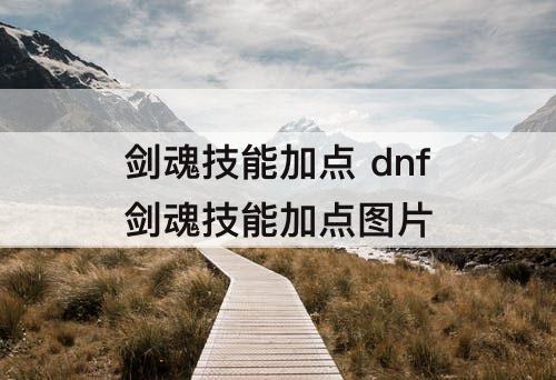剑魂技能加点 dnf剑魂技能加点图片