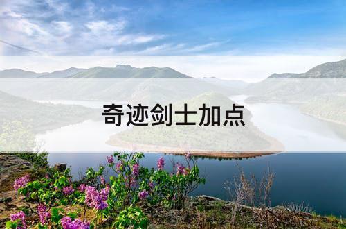 奇迹剑士加点