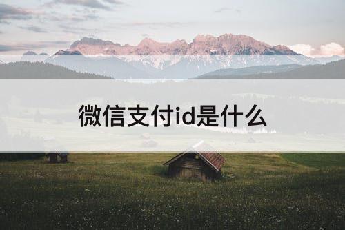 微信支付id是什么