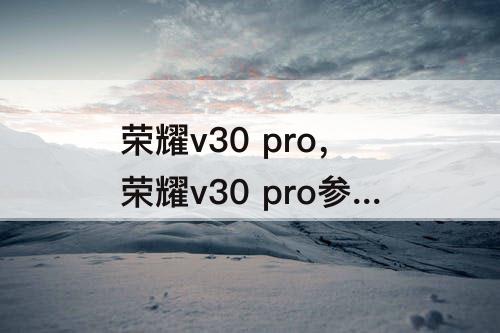 荣耀v30 pro，荣耀v30 pro参数