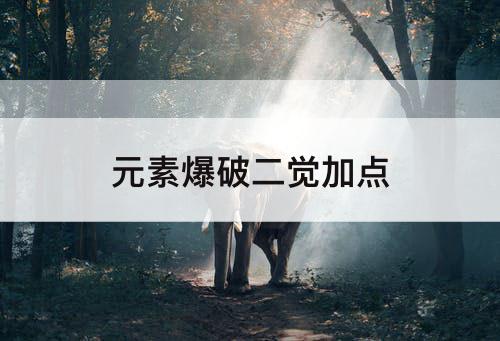 元素爆破二觉加点